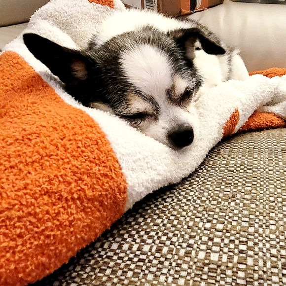 I'M DENISE... - Picture 10 of 13